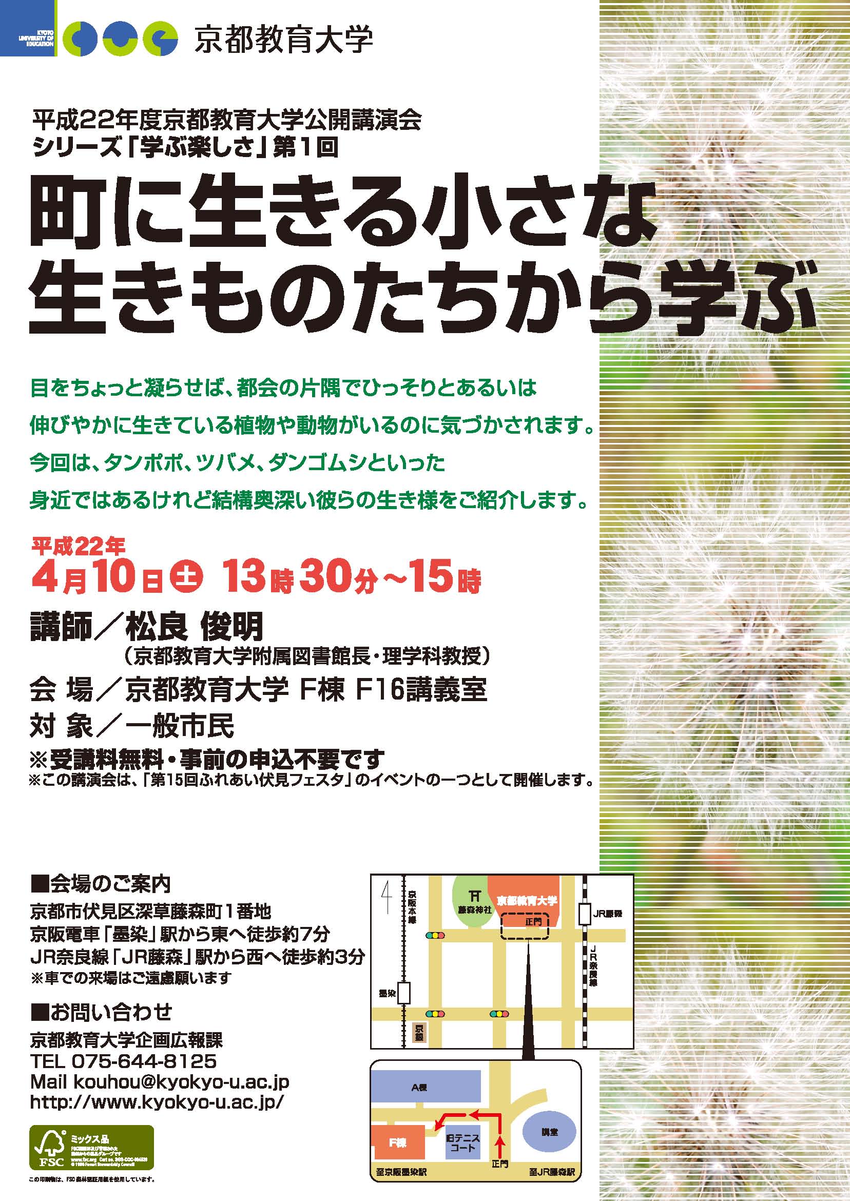 町に生きる小さな生きものたちから学ぶ