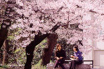 sample_photo1.jpg