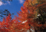 sample_photo3.jpg