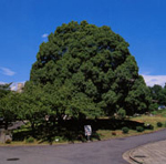 sample_photo2.jpg