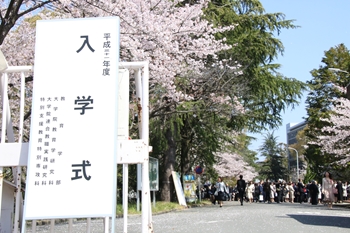 201904085_R.jpg