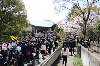 201904086_R.jpg