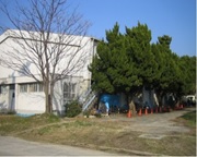 aedp5.jpg