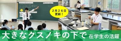 大きなクスノキの下で.png